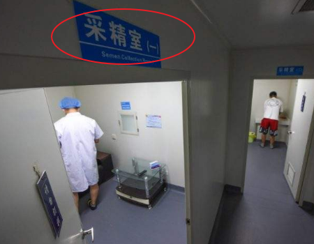 伴随妊娠反应综合征