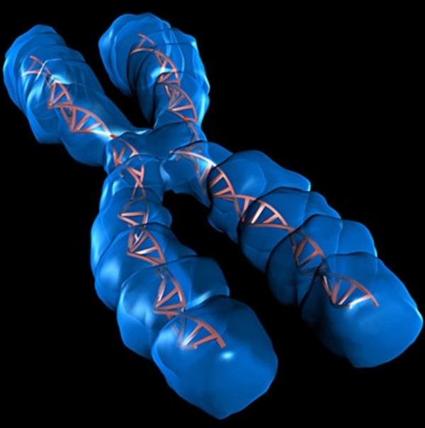 便秘最怕9种水果孕妇