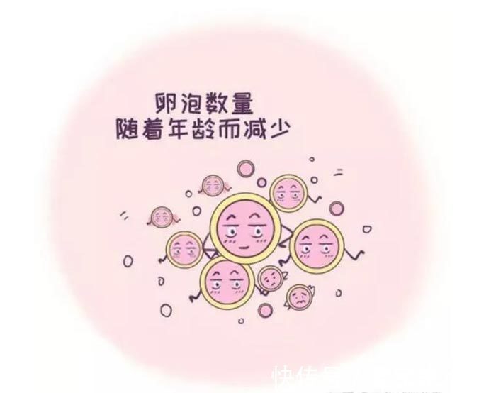 假阳性验孕棒图片