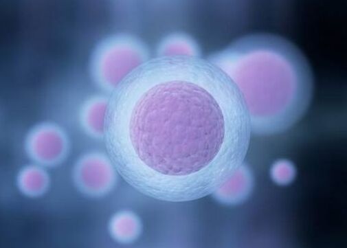 月经乱来不规律