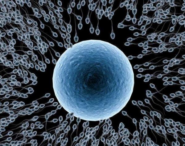 剖腹产佛教说法