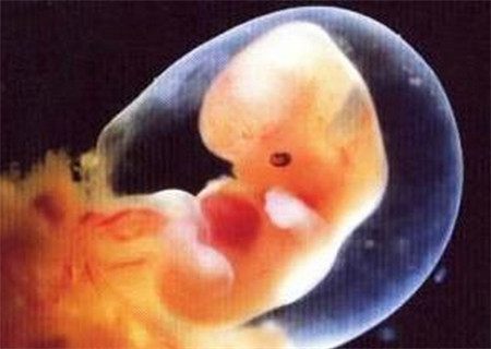 新手妈妈母乳喂养技巧