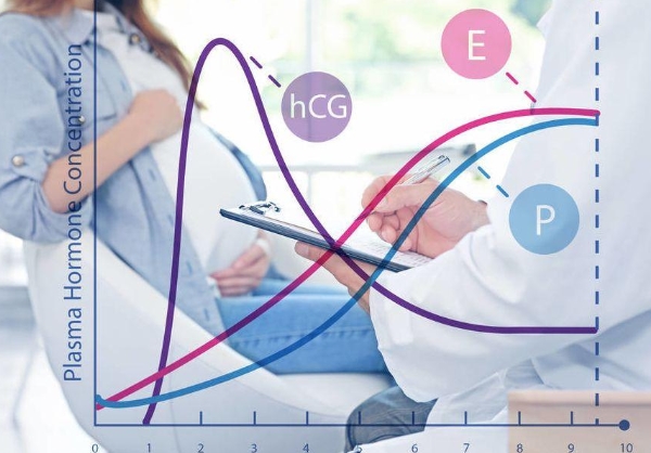 姨妈前一个星期