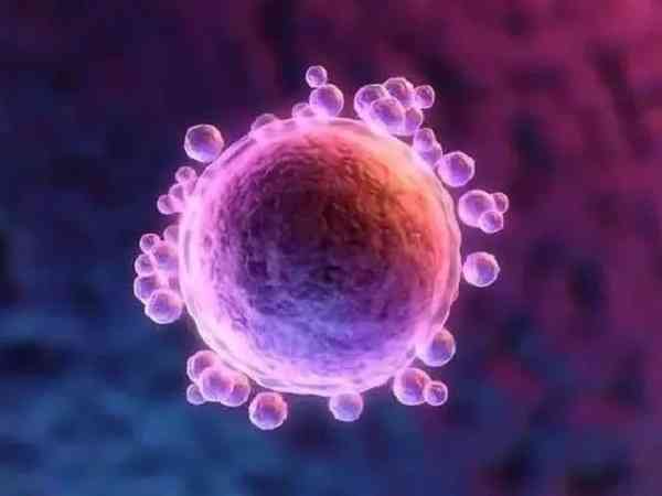 兰州试管婴儿技术