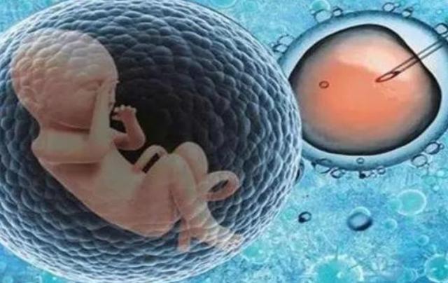 取卵后肚子一阵一阵绞痛